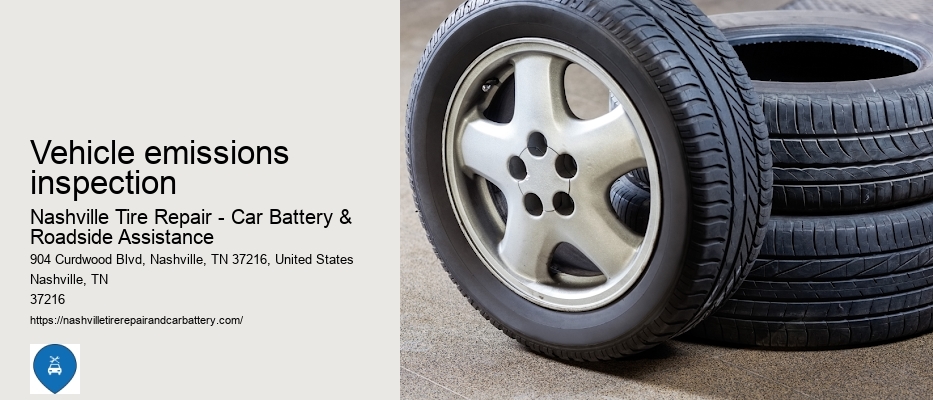 vehicle emissions inspection